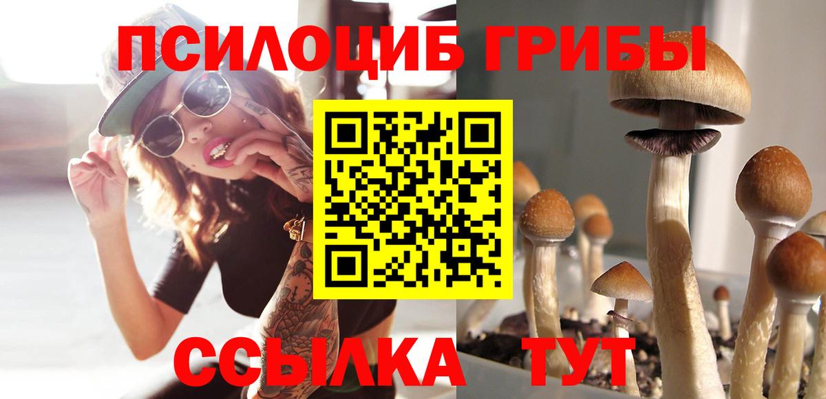 Ангарск  Галлюциногенные грибы Psilocybe  Галлюциногенные грибы GOLDEN TEACHER  Вход с VPN 